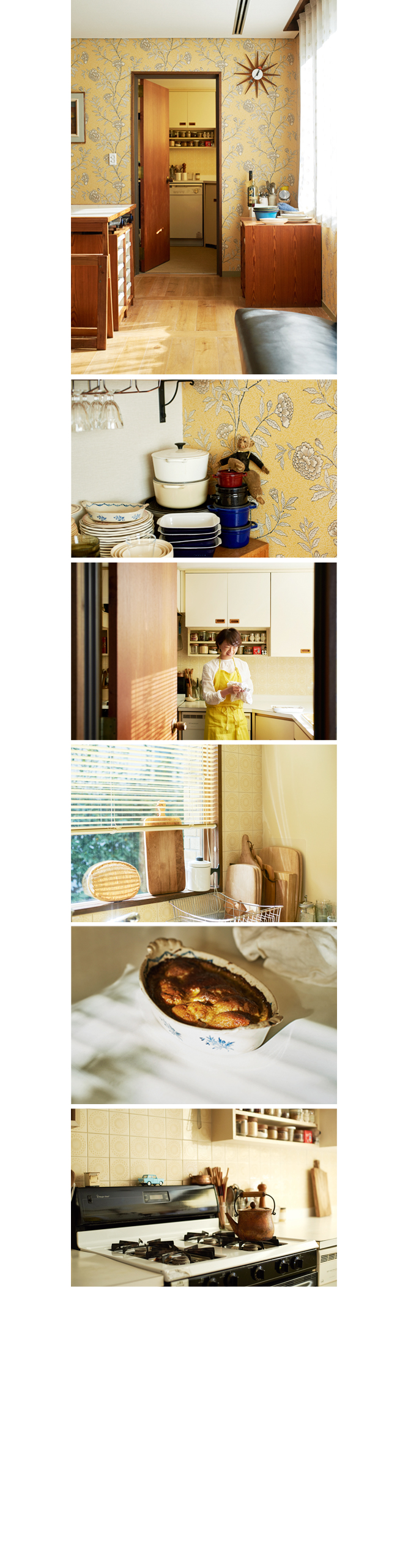 サンプルイメージ