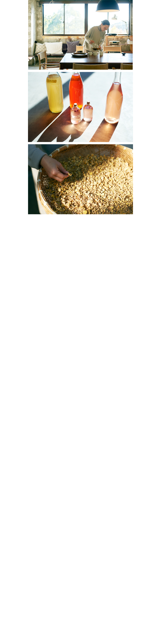 サンプルイメージ