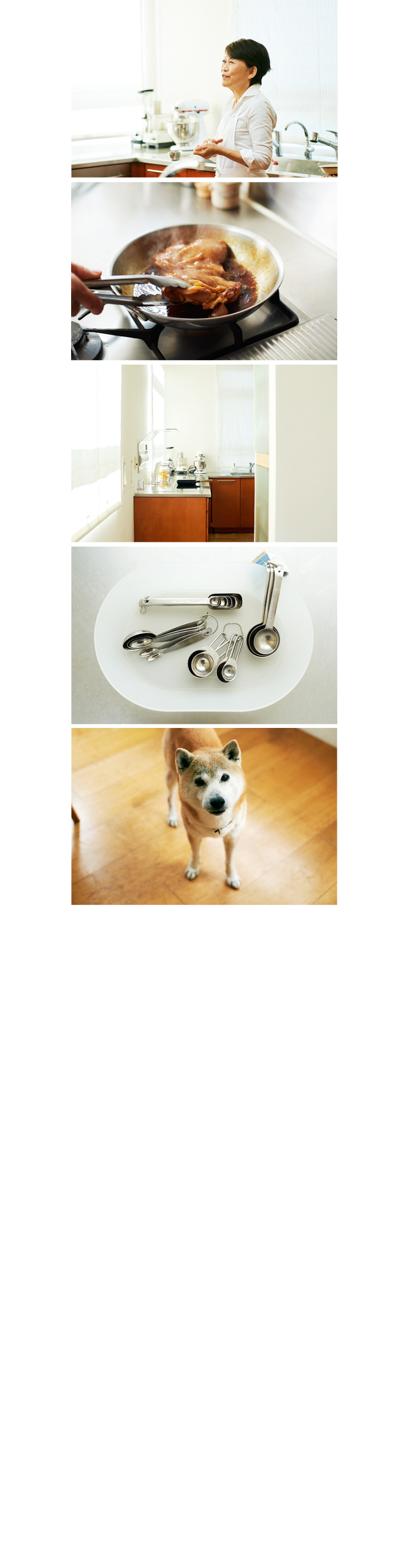 サンプルイメージ